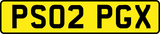 PS02PGX