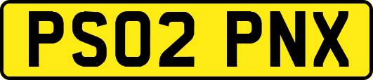 PS02PNX