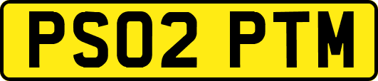 PS02PTM