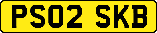 PS02SKB