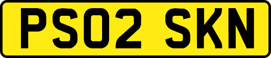 PS02SKN