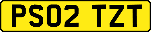 PS02TZT