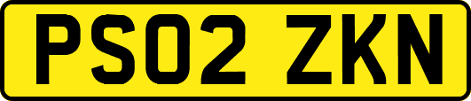 PS02ZKN