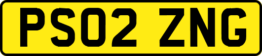 PS02ZNG