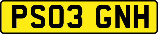 PS03GNH