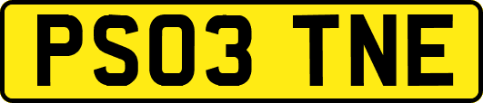 PS03TNE
