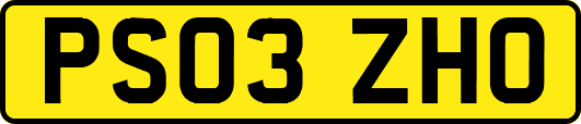 PS03ZHO