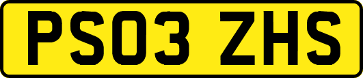 PS03ZHS