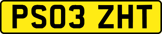 PS03ZHT