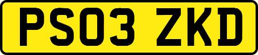 PS03ZKD
