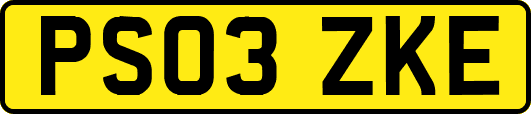 PS03ZKE