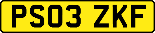 PS03ZKF