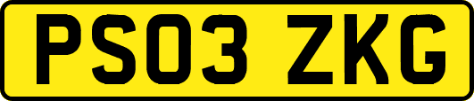 PS03ZKG