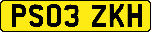 PS03ZKH