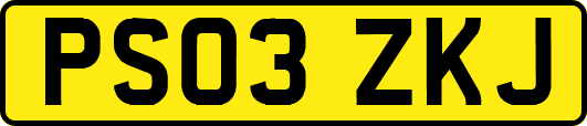 PS03ZKJ