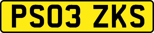 PS03ZKS