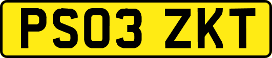PS03ZKT
