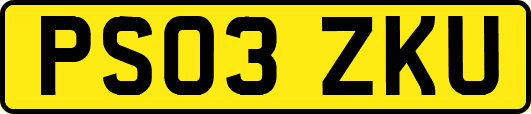 PS03ZKU