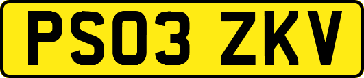 PS03ZKV