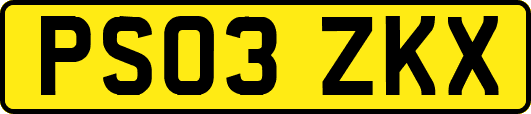 PS03ZKX