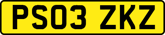 PS03ZKZ