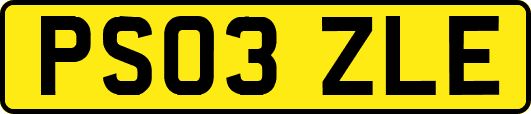 PS03ZLE