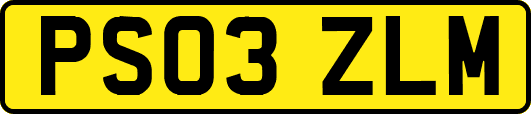 PS03ZLM