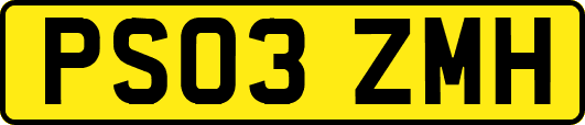 PS03ZMH