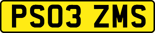 PS03ZMS