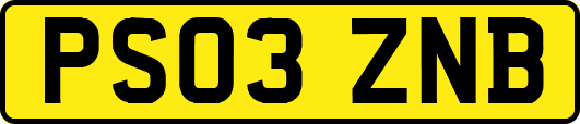 PS03ZNB