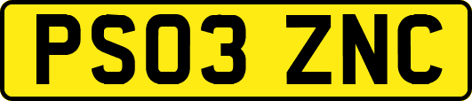 PS03ZNC
