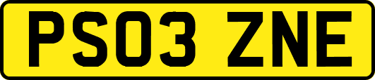 PS03ZNE