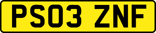 PS03ZNF
