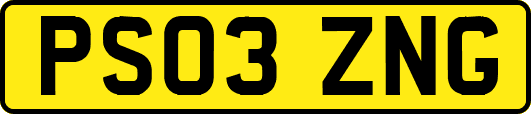 PS03ZNG