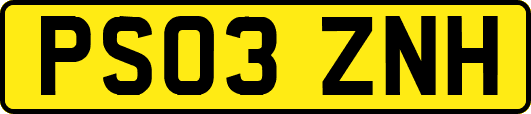 PS03ZNH