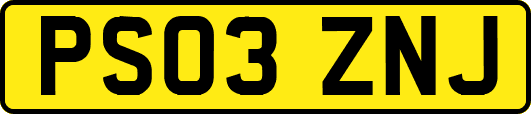 PS03ZNJ