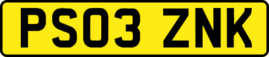 PS03ZNK