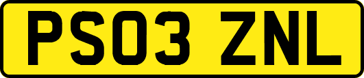 PS03ZNL