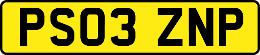 PS03ZNP