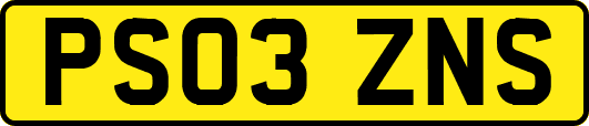 PS03ZNS