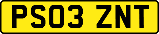 PS03ZNT
