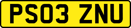 PS03ZNU