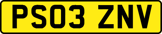 PS03ZNV