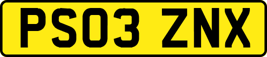 PS03ZNX