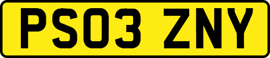 PS03ZNY