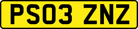 PS03ZNZ