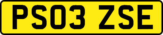 PS03ZSE