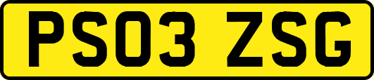 PS03ZSG