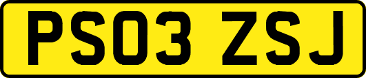 PS03ZSJ