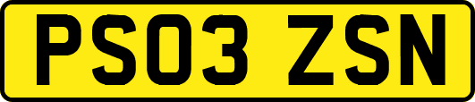 PS03ZSN